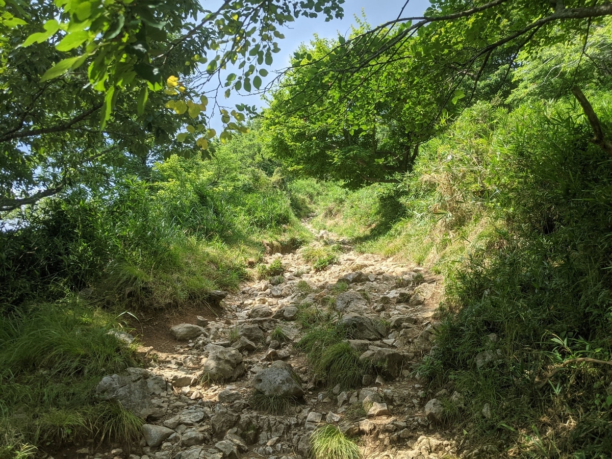 f:id:smoglog:20210801211505j:plain