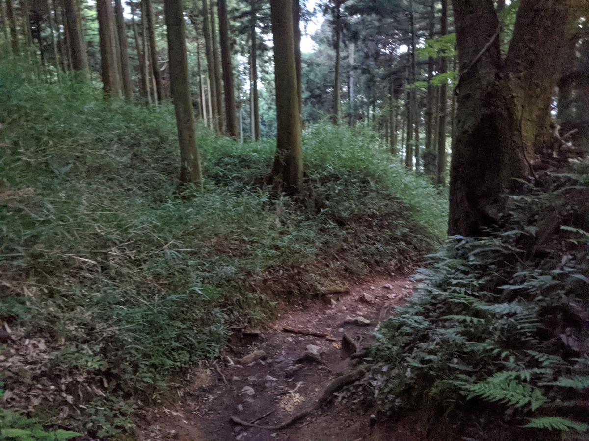 f:id:smoglog:20210801211653j:plain