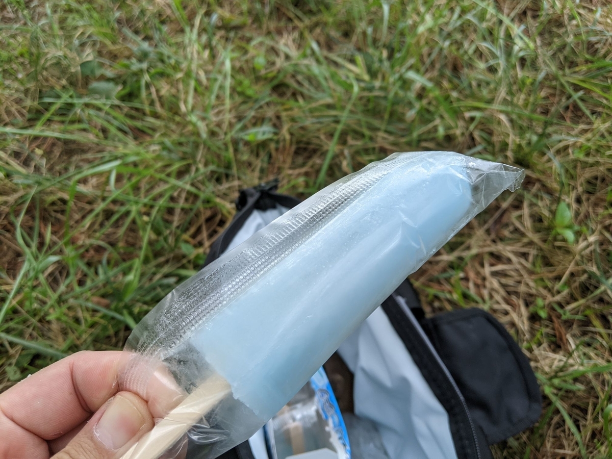 f:id:smoglog:20210821191332j:plain