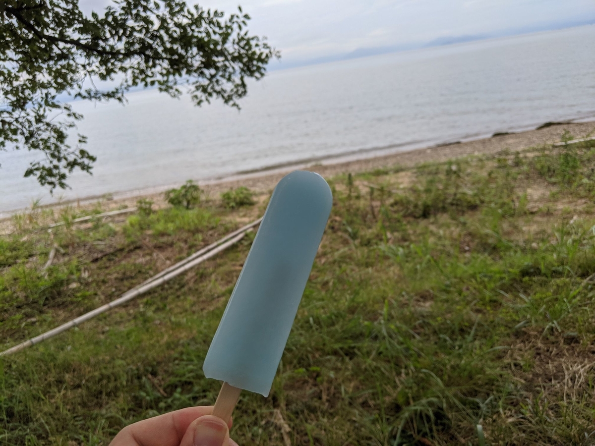 f:id:smoglog:20210821191337j:plain