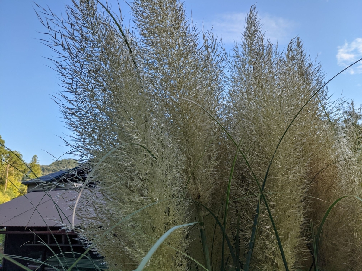 f:id:smoglog:20210827174216j:plain