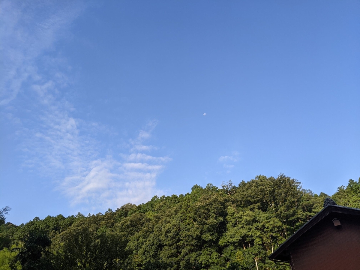 f:id:smoglog:20210827174238j:plain