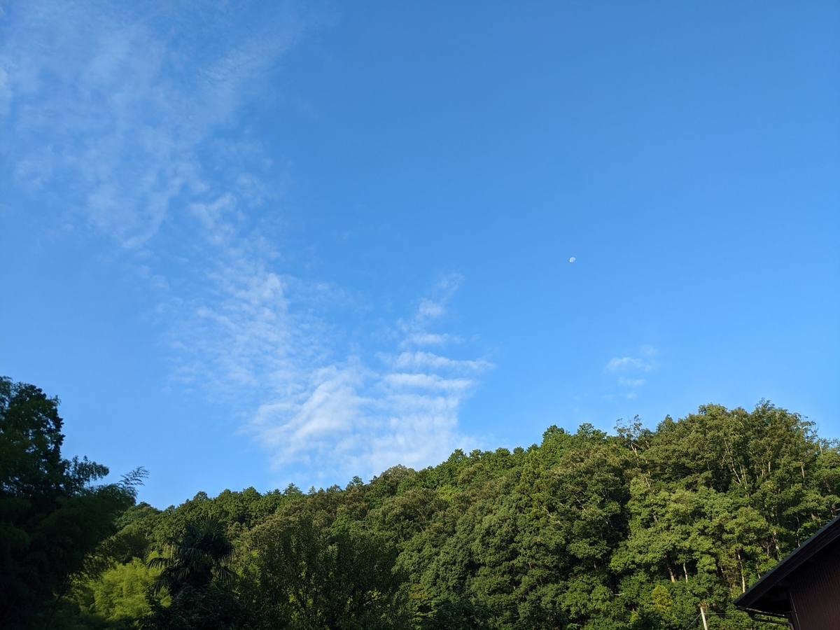 f:id:smoglog:20210827174243j:plain