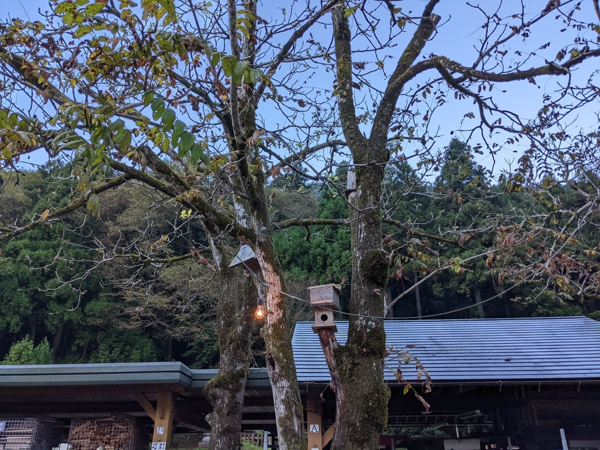 f:id:smoglog:20211011210705j:plain