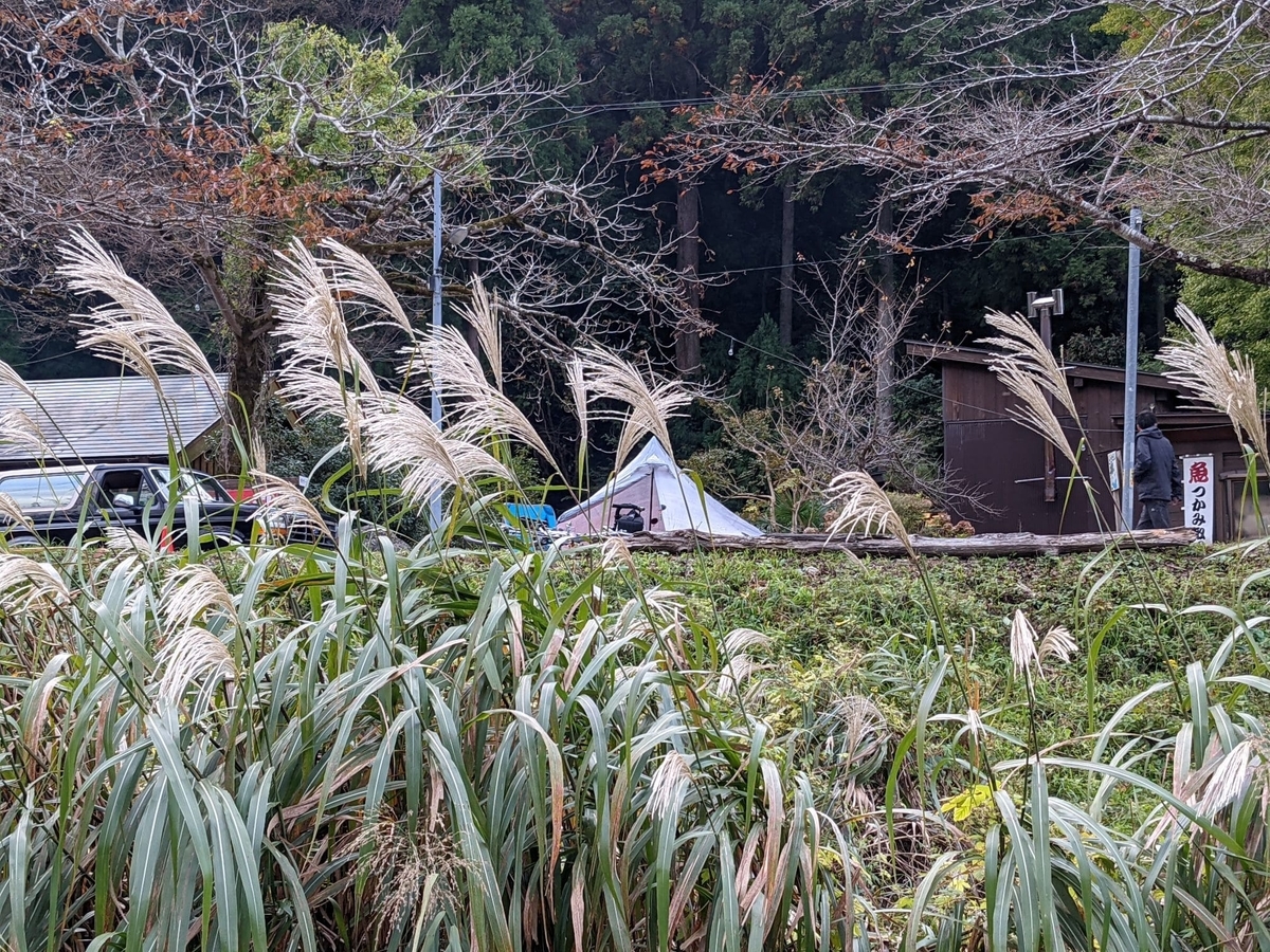 f:id:smoglog:20211031140007j:plain