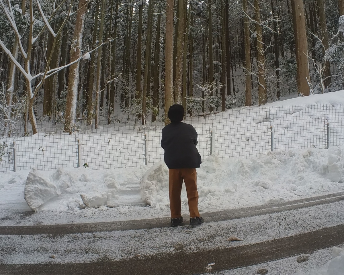 f:id:smoglog:20220220193409j:plain