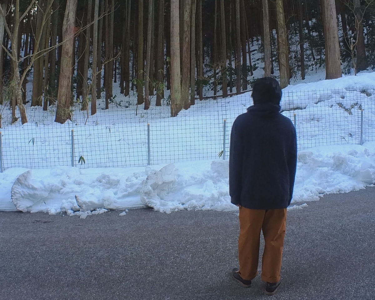 f:id:smoglog:20220220193807j:plain