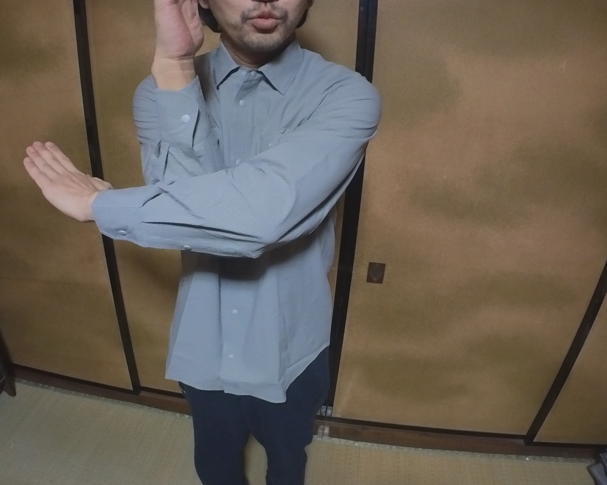 f:id:smoglog:20220220215345j:plain