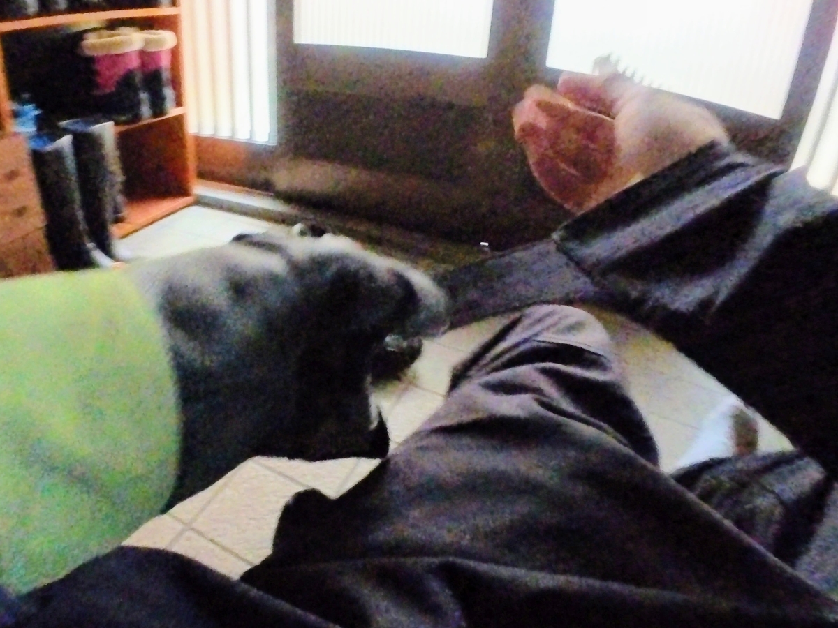 f:id:smoglog:20220403104826j:plain