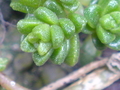 20080713133155