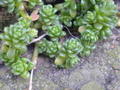 20080713133227