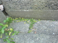 20080713182101