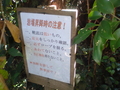 和歌山