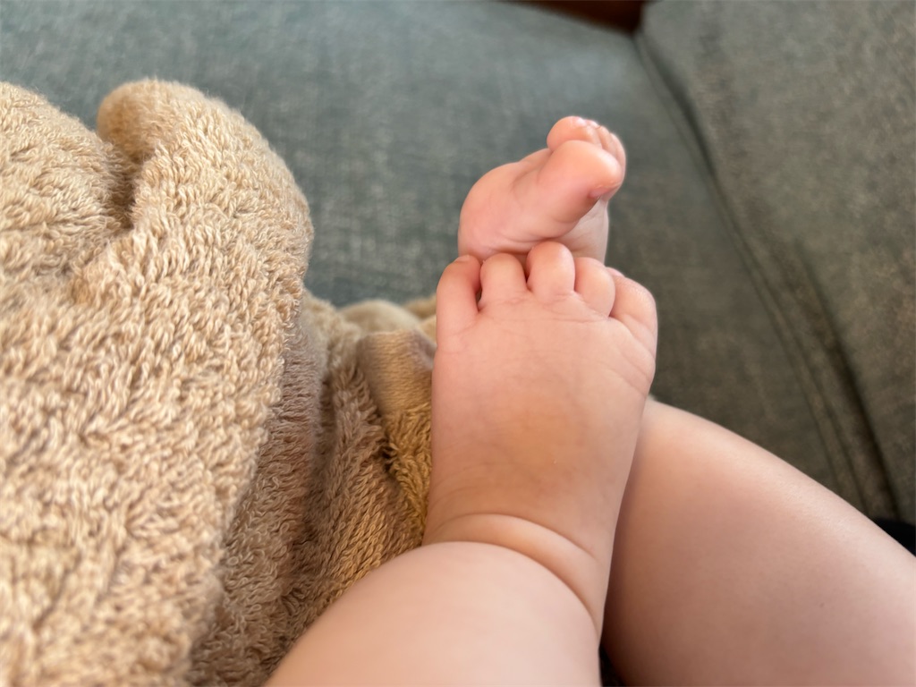 f:id:smoomin:20240430210240j:image f:id:smoomin:20240430210240j:image