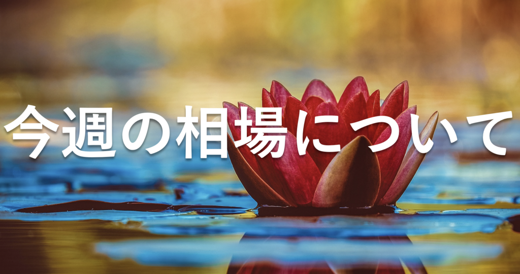 f:id:smorce:20190928161014p:plain