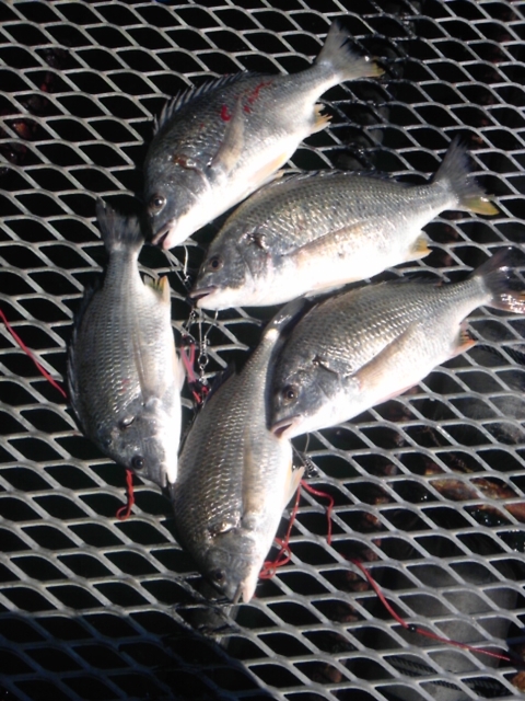 f:id:smrs8181:20120427102115j:image