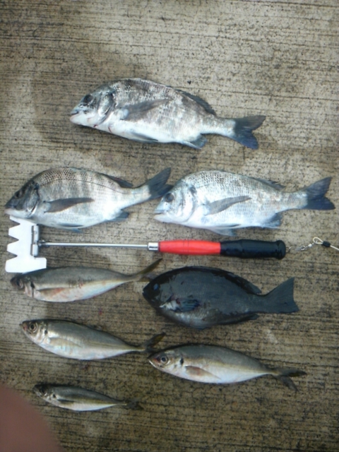 f:id:smrs8181:20120525174038j:image