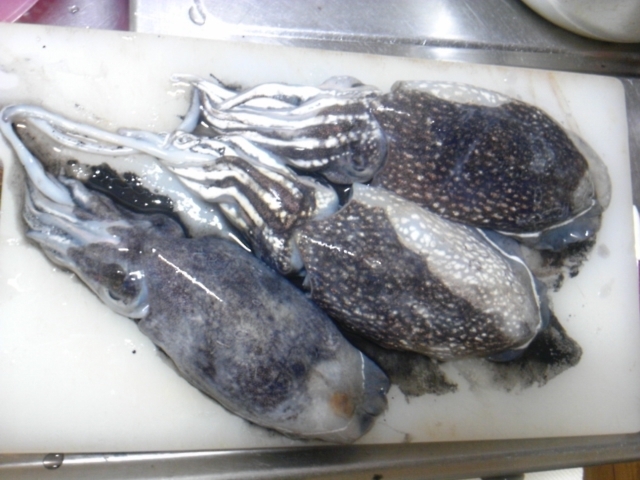 f:id:smrs8181:20120602082821j:image