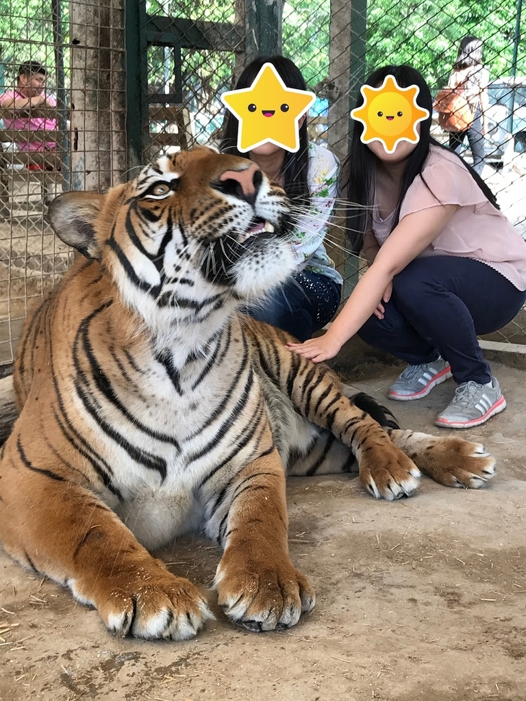 猛獣と触れ合える動物園について ブエノスアイレスにて