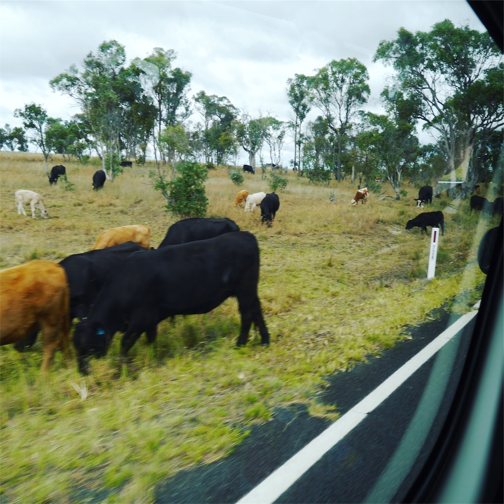 f:id:smurduok:20170228200558j:image