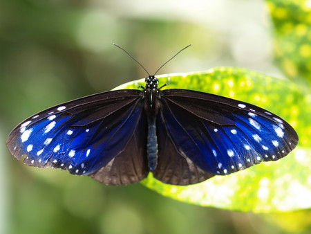 f:id:sn1nsmr:20080601104124j:image