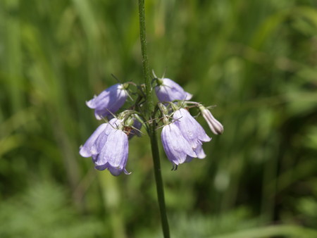 f:id:sn1nsmr:20080807100920j:image