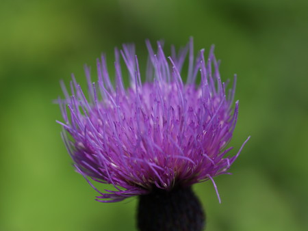 f:id:sn1nsmr:20080807101148j:image