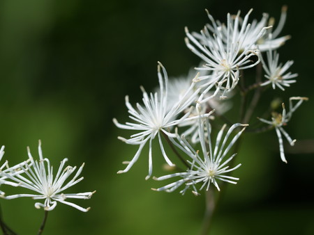 f:id:sn1nsmr:20080807101952j:image