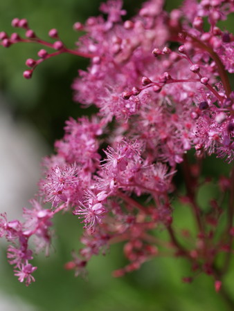 f:id:sn1nsmr:20080807102738j:image
