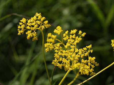 f:id:sn1nsmr:20080807103843j:image