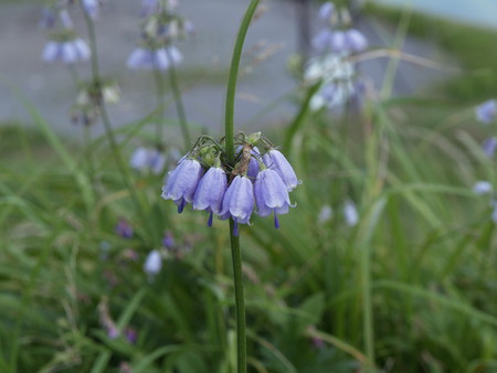 f:id:sn1nsmr:20080807144426j:image