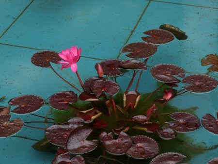 f:id:sn1nsmr:20081108133922j:image f:id:sn1nsmr:20081108133922j:image