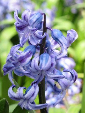 f:id:sn1nsmr:20100403113012j:image f:id:sn1nsmr:20100403113012j:image