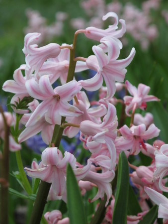 f:id:sn1nsmr:20100403114236j:image f:id:sn1nsmr:20100403114236j:image