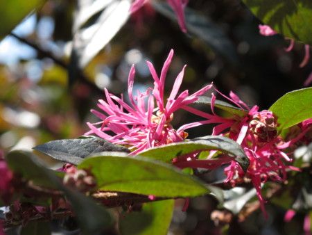 f:id:sn1nsmr:20100403121703j:image f:id:sn1nsmr:20100403121703j:image