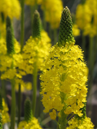 f:id:sn1nsmr:20100403121935j:image f:id:sn1nsmr:20100403121935j:image