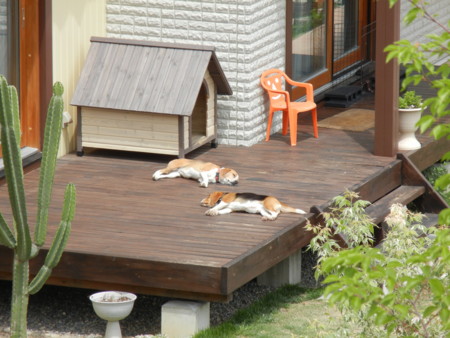 f:id:sn1nsmr:20110515130142j:image