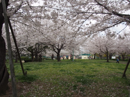 f:id:sn1nsmr:20130403190211j:image