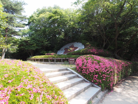 f:id:sn1nsmr:20130607235453j:image f:id:sn1nsmr:20130607235453j:image