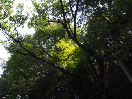 f:id:sn1nsmr:20130607235454j:image f:id:sn1nsmr:20130607235454j:image