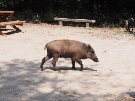 f:id:sn1nsmr:20130607235458j:image f:id:sn1nsmr:20130607235458j:image