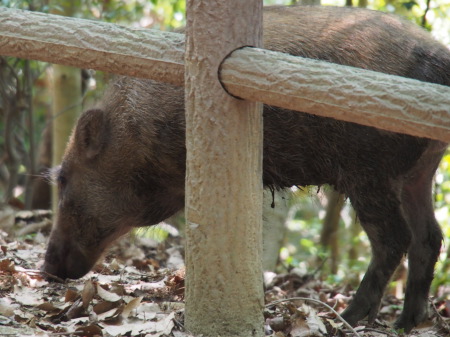 f:id:sn1nsmr:20130607235502j:image f:id:sn1nsmr:20130607235502j:image