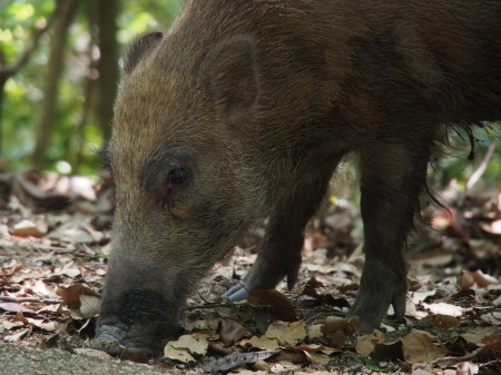 f:id:sn1nsmr:20130607235503j:image f:id:sn1nsmr:20130607235503j:image