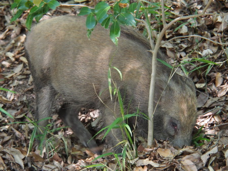 f:id:sn1nsmr:20130607235504j:image f:id:sn1nsmr:20130607235504j:image