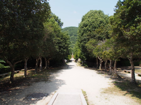 f:id:sn1nsmr:20130607235505j:image f:id:sn1nsmr:20130607235505j:image