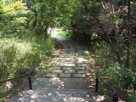 f:id:sn1nsmr:20130607235508j:image f:id:sn1nsmr:20130607235508j:image