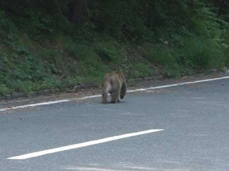 f:id:sn1nsmr:20130921221345j:image f:id:sn1nsmr:20130921221345j:image