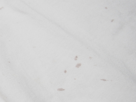 f:id:sn1nsmr:20140726134005j:image