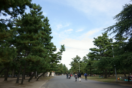 f:id:sn1nsmr:20141116214252j:image