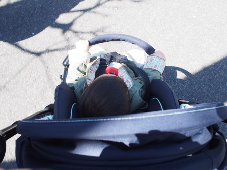 f:id:sn1nsmr:20160323114742j:image f:id:sn1nsmr:20160323114742j:image